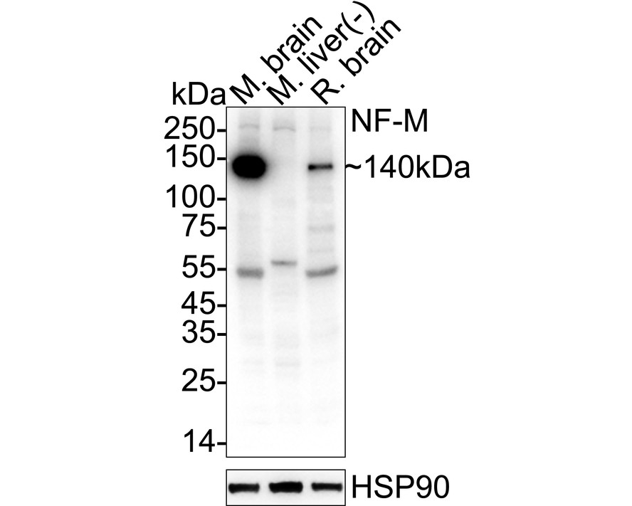 HA610279_3.jpg