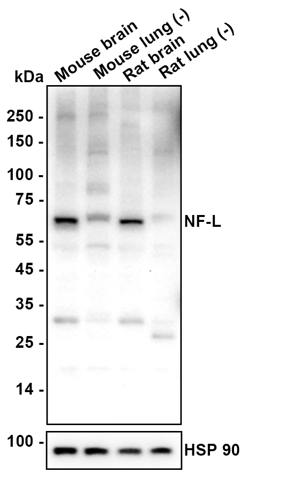 HA610282_6.jpg