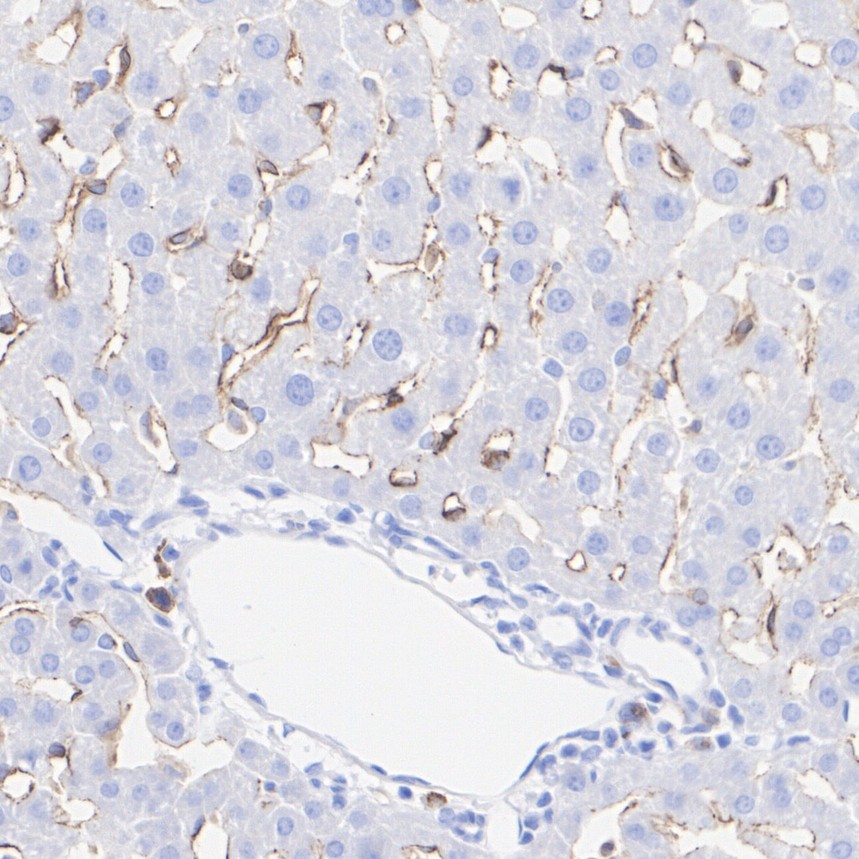 HA610287_6.jpg