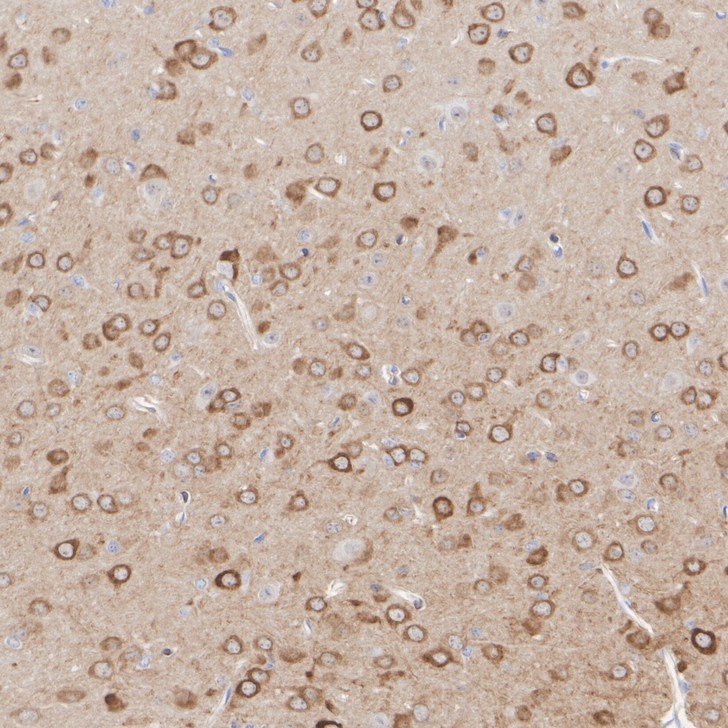 HA610290_2.jpg