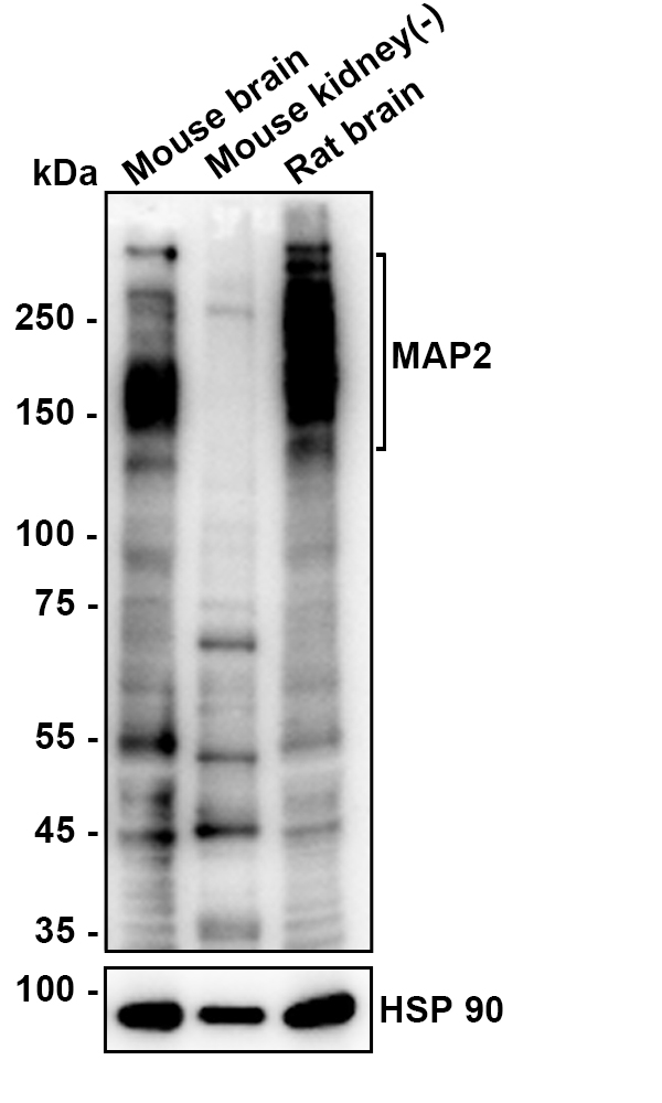 HA610291_2.jpg