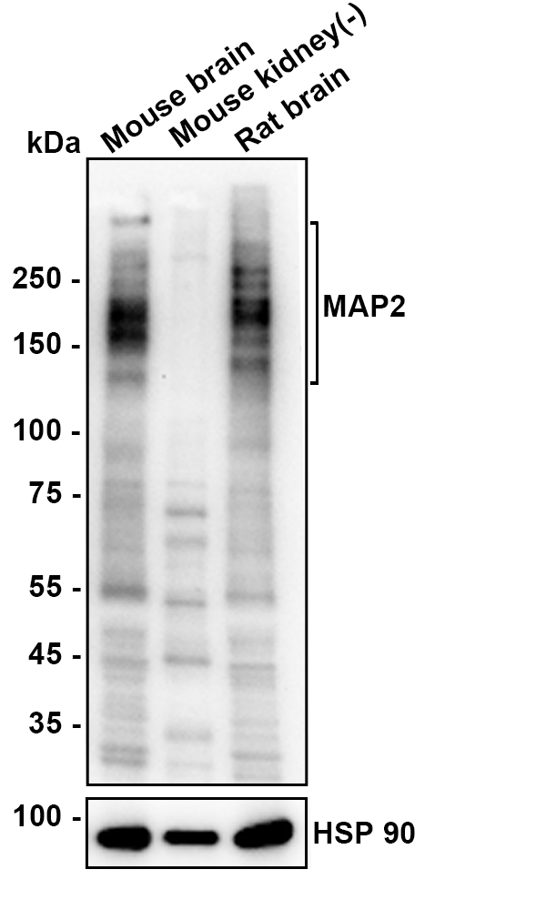 HA610292_5.jpg