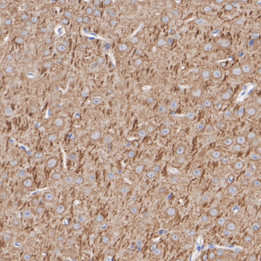 HA610293_3.jpg