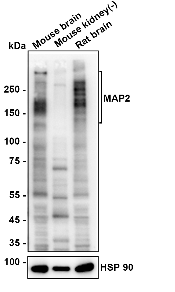 HA610293_5.jpg