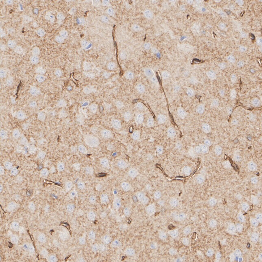 HA610296_4.jpg