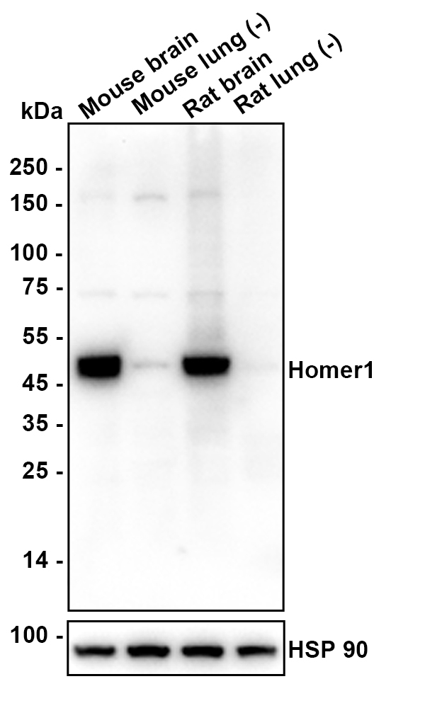 HA610299_2.jpg