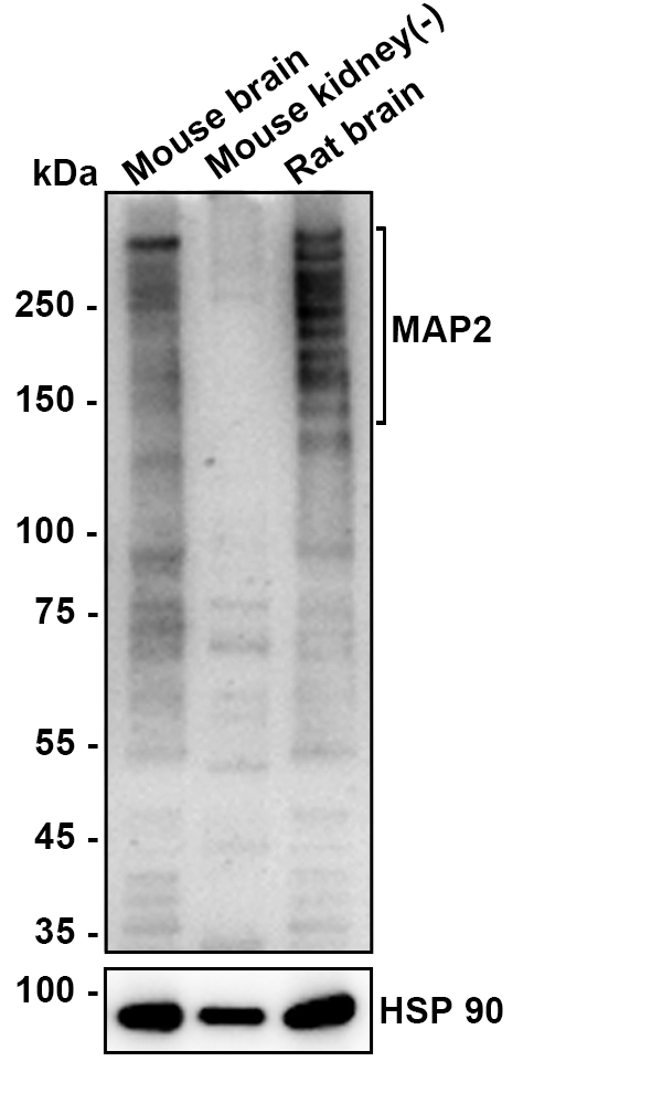 HA610301_2.jpg