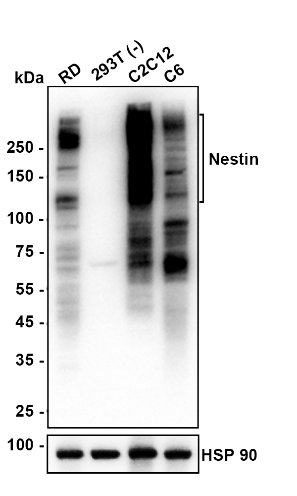 HA610302_4.jpg