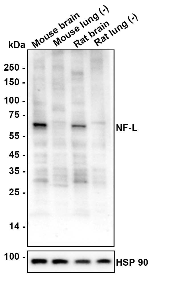 HA610306_2.jpg
