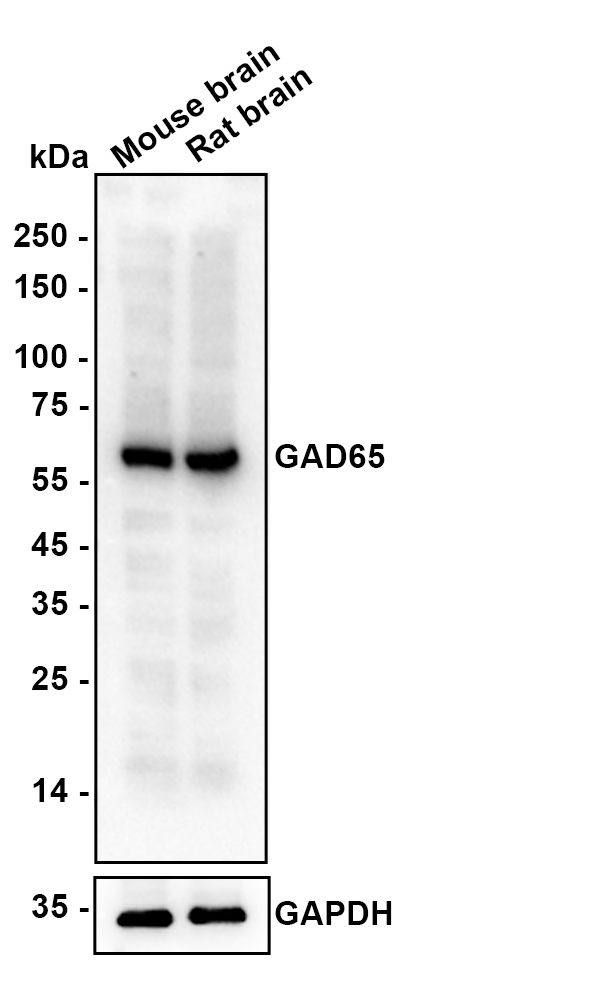 HA610307_2.jpg