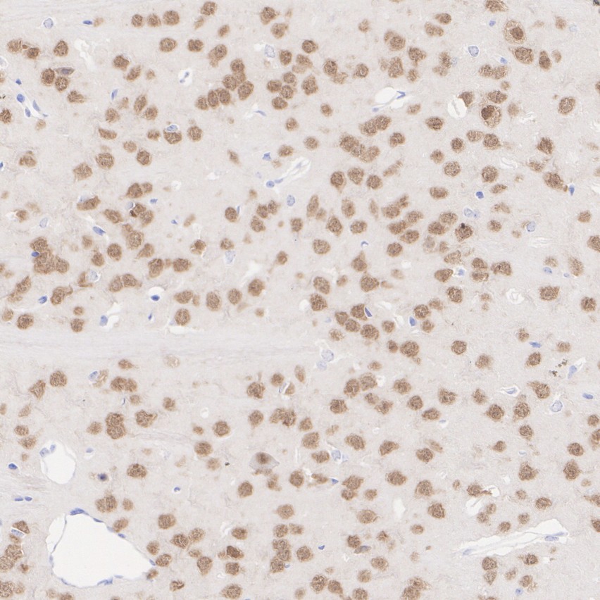 HA610315_4.jpg