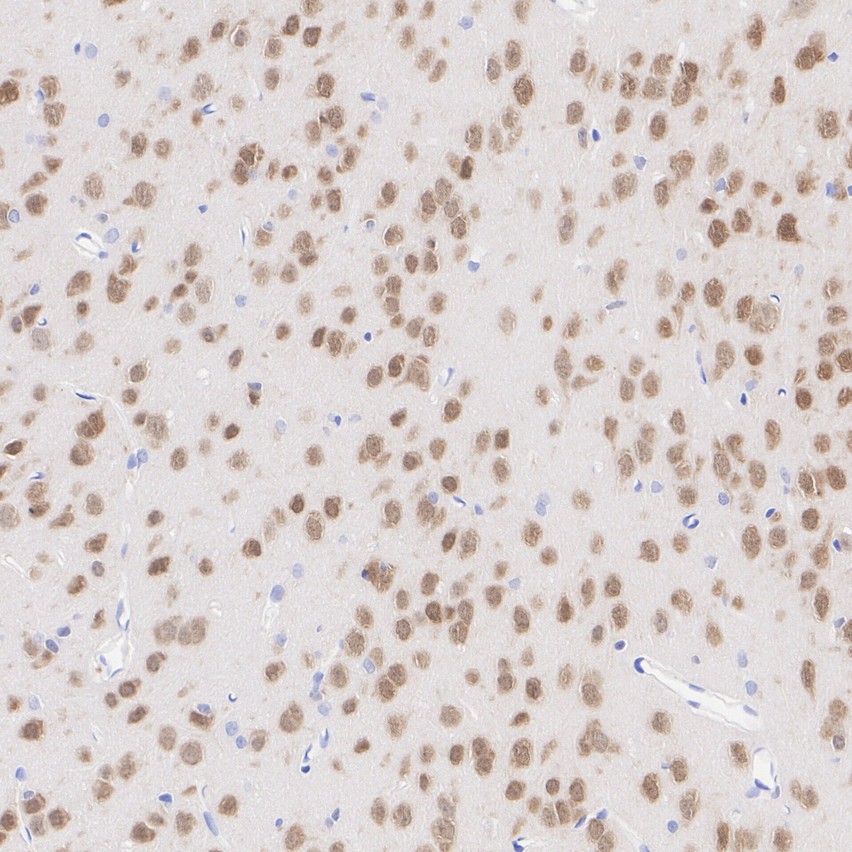 HA610315_5.jpg