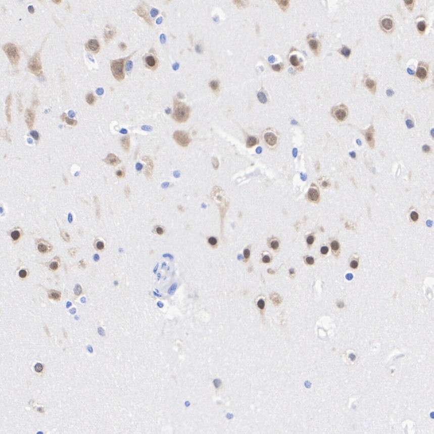 HA610316_2.jpg