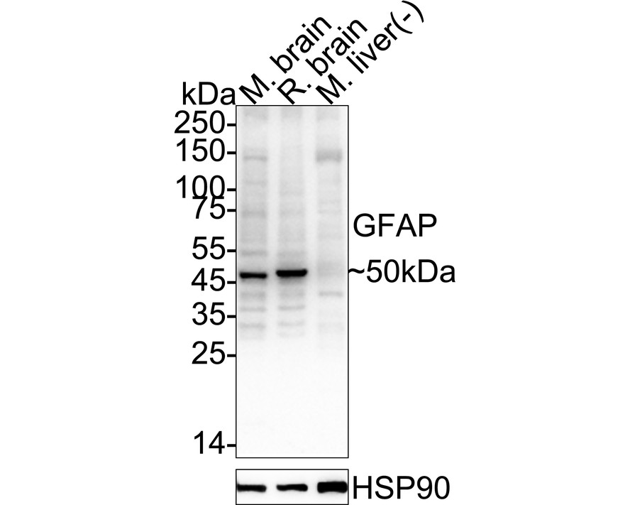 HA610317_4.jpg