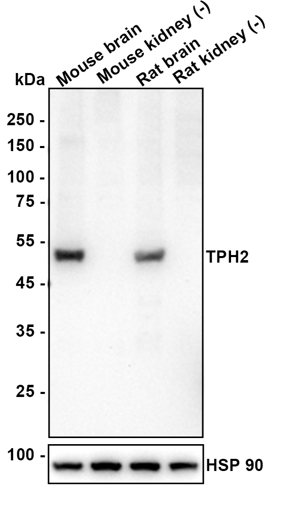 HA610322_2.jpg