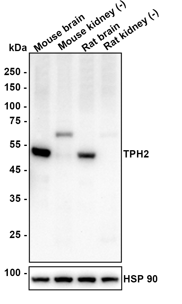 HA610323_1.jpg
