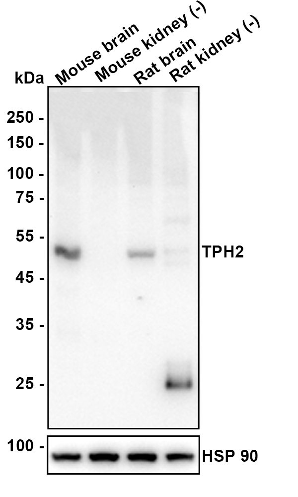 HA610324_1.jpg