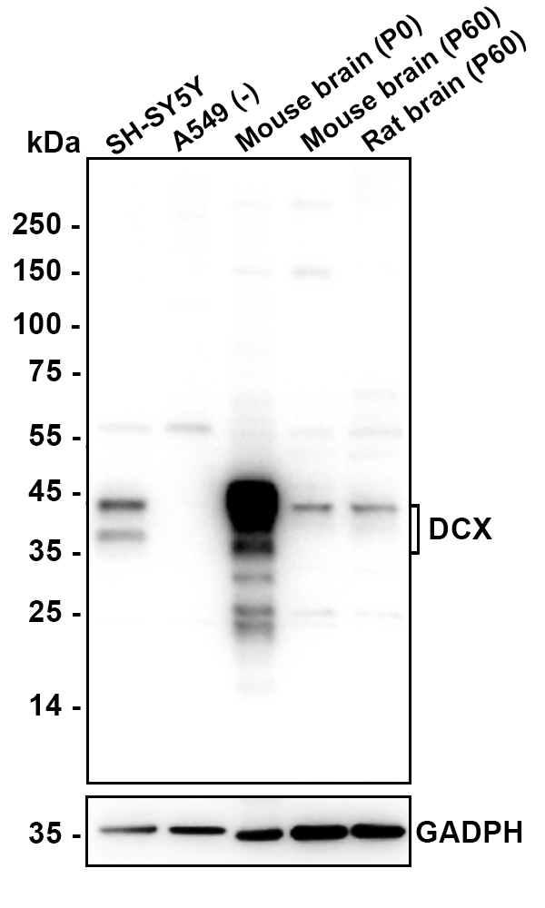 HA610326_2.jpg