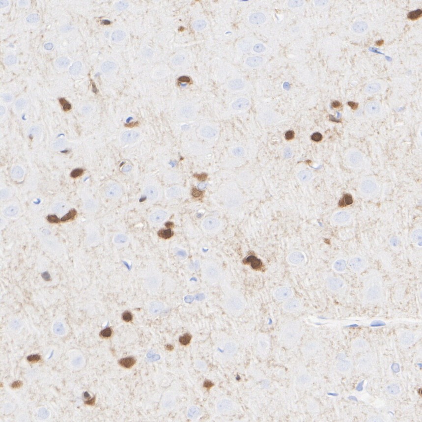 HA610328_6.jpg