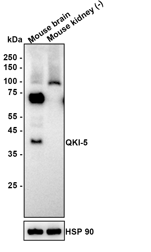 HA610331_2.jpg