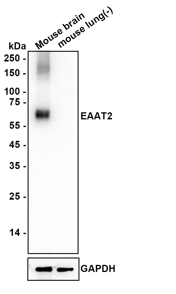 HA610334_2.jpg