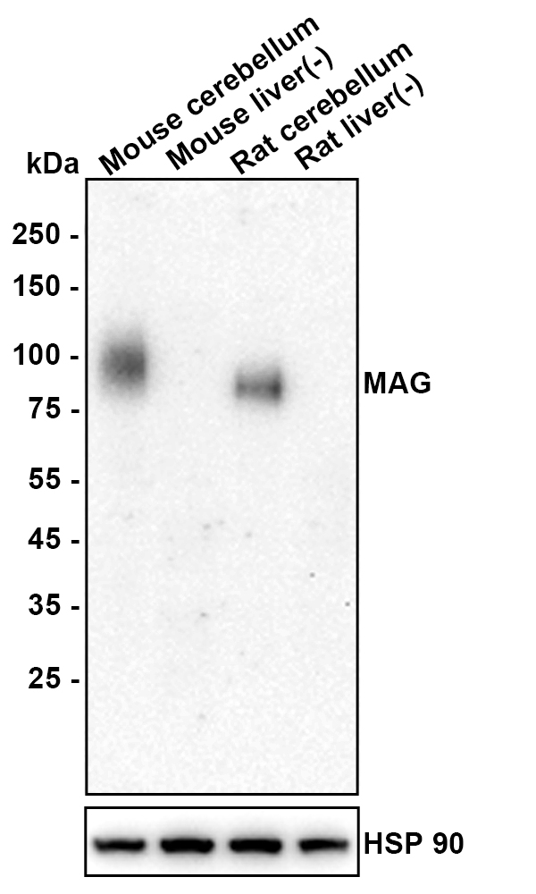 HA610339_2.jpg