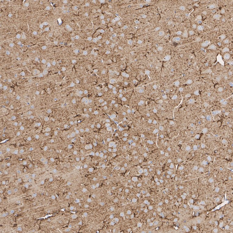 HA610341_3.jpg