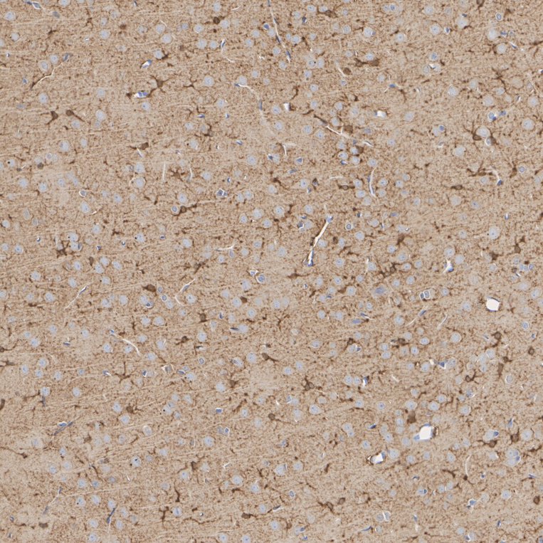 HA610342_3.jpg