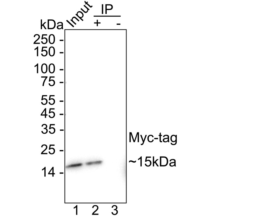 HA610343_3.jpg