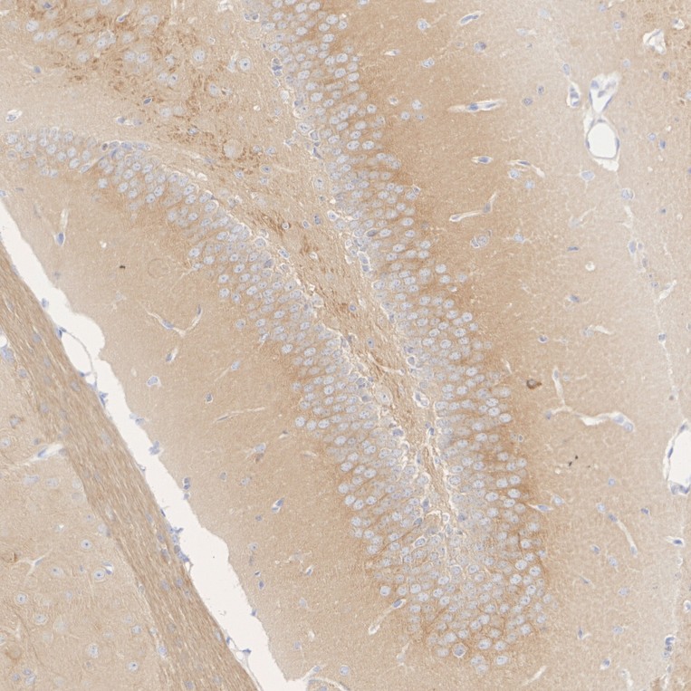 HA610352_3.jpg