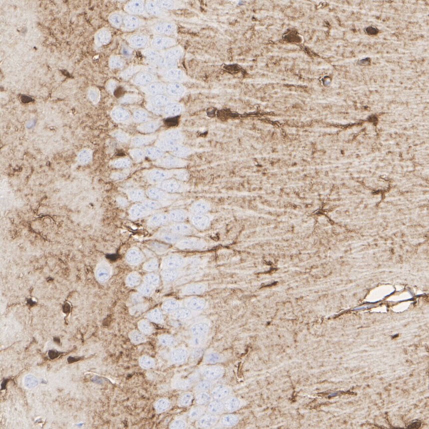 HA610366_3.jpg