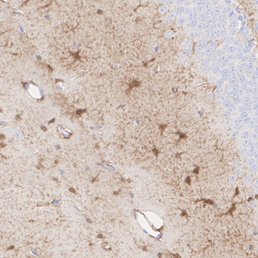 HA610367_3.jpg