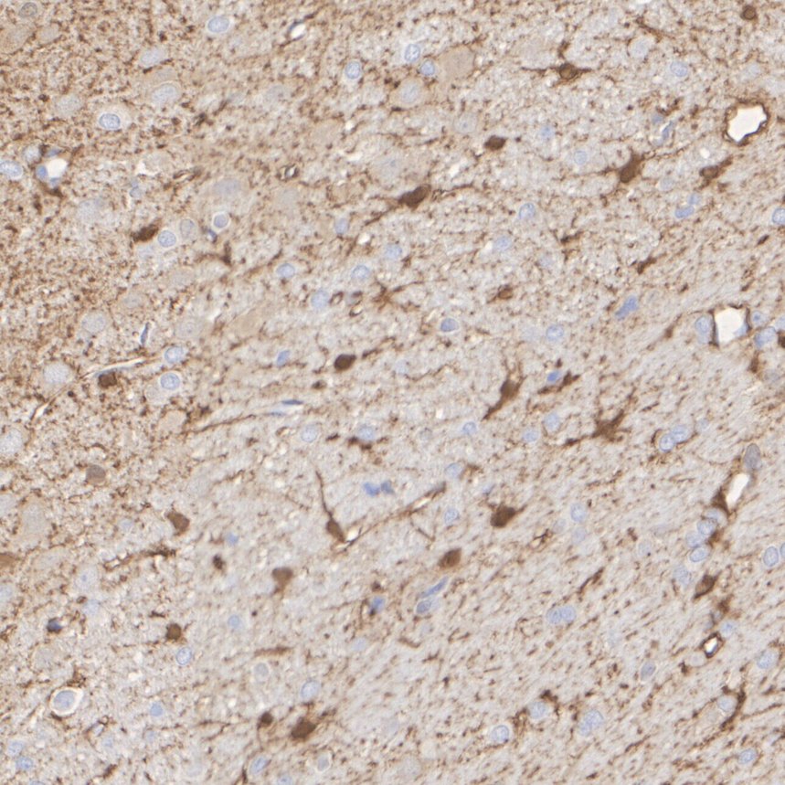 HA610367_4.jpg