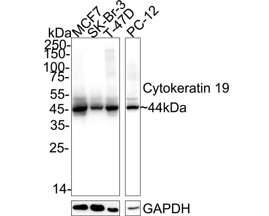 HA610370_1.jpg