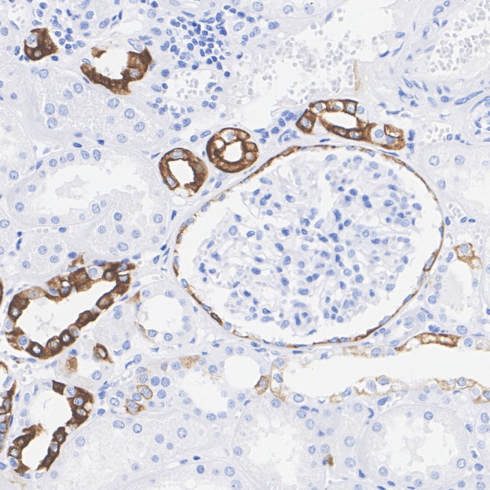 HA610370_4.jpg