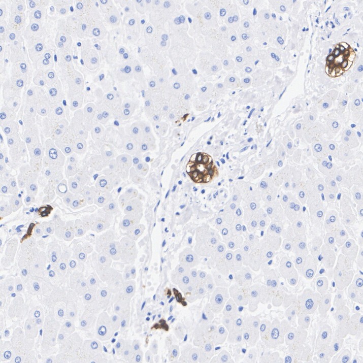 HA610370_5.jpg