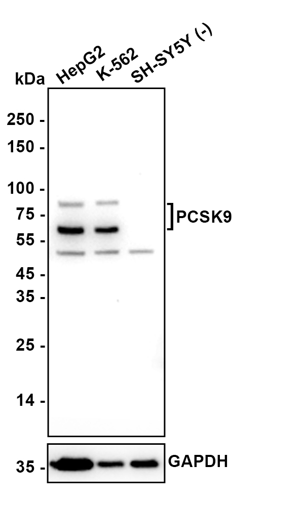HA610371_1.jpg