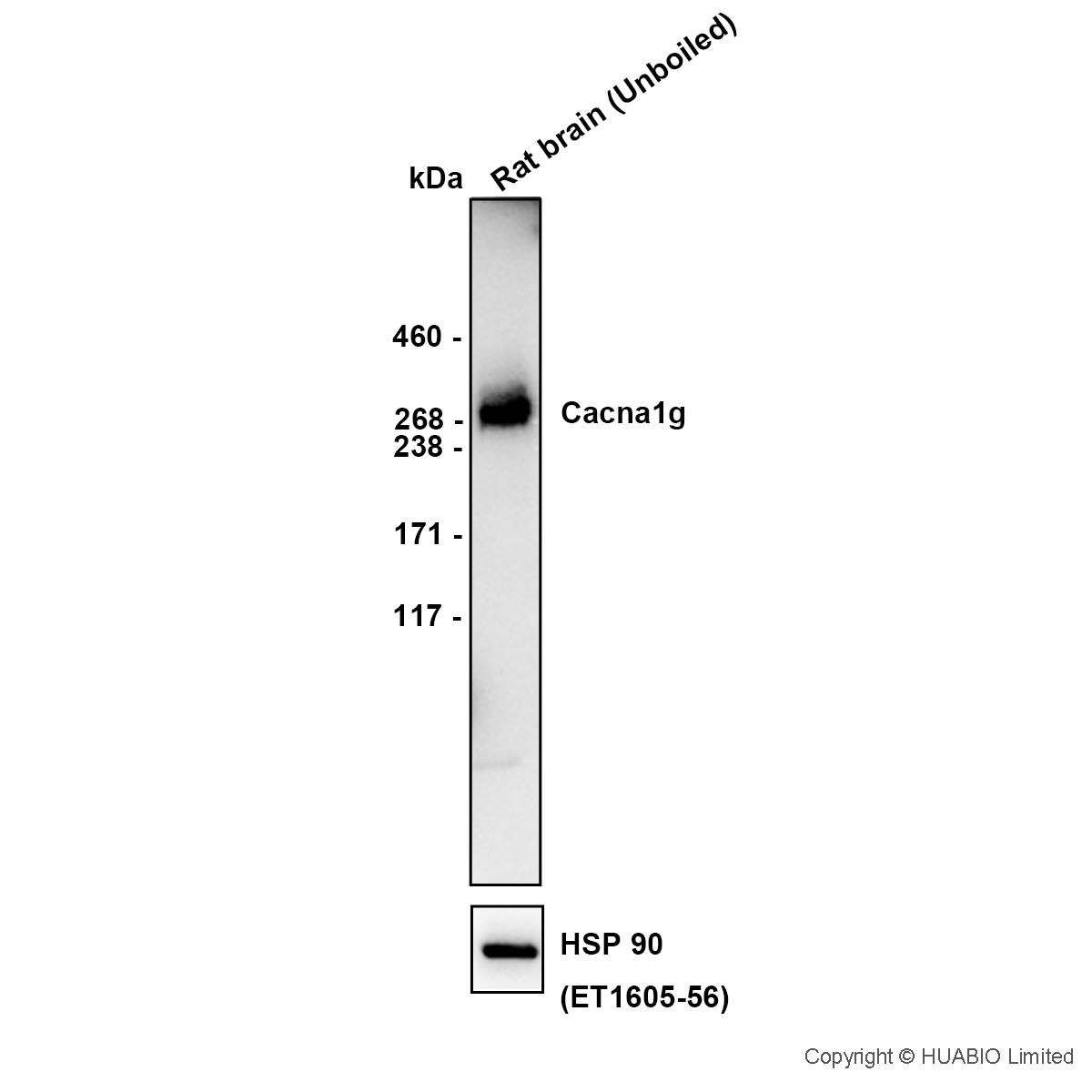 HA610406_1.jpg