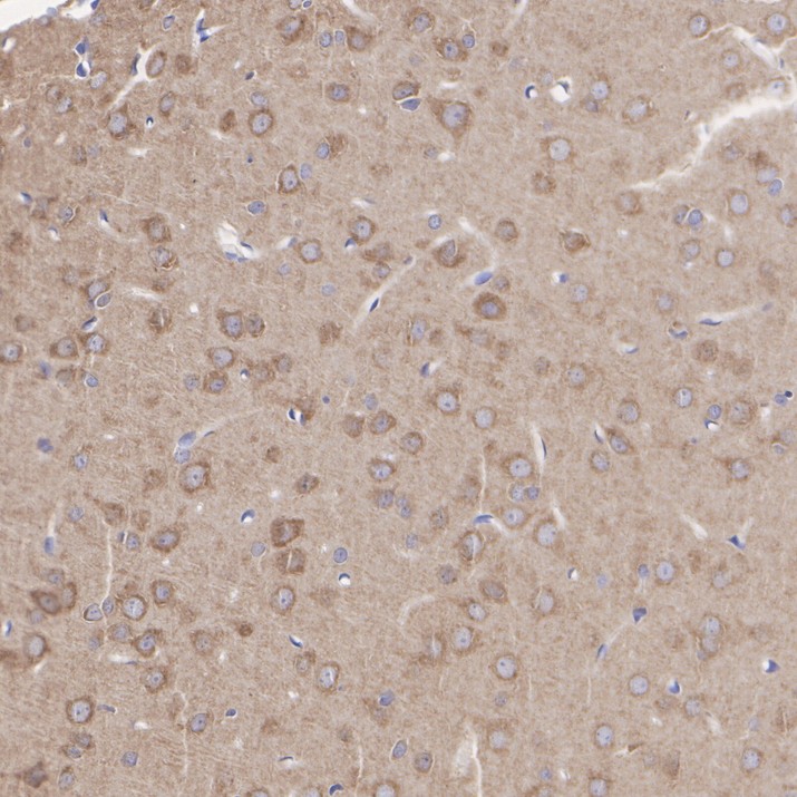 HA610409_4.jpg
