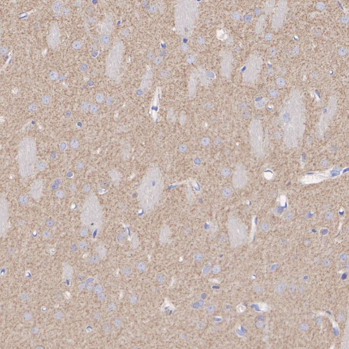 HA610410_4.jpg