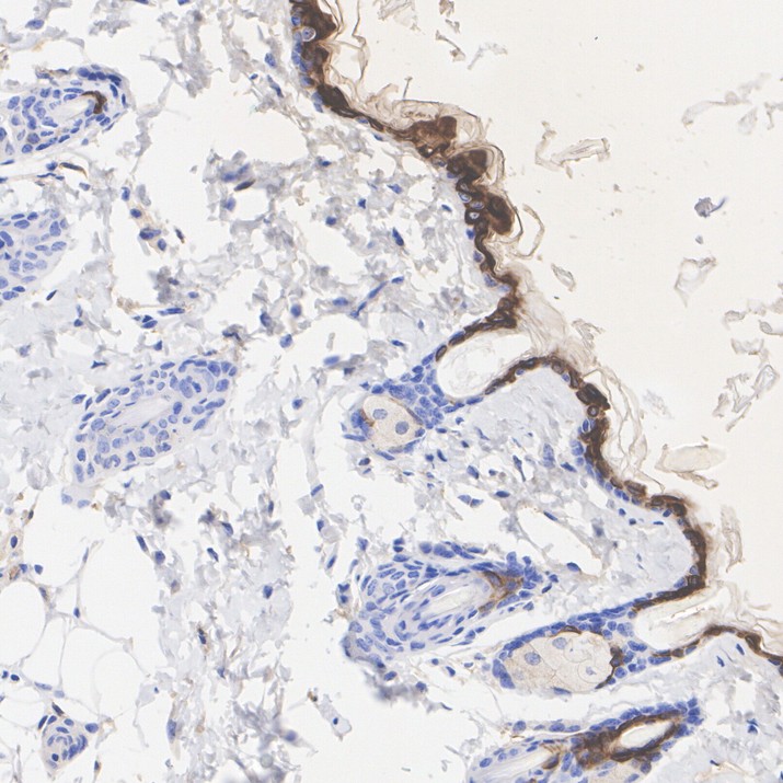HA610415_2.jpg