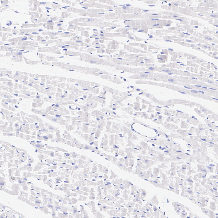 HA610416_4.jpg