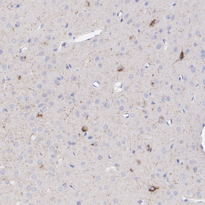 HA610417_7.jpg