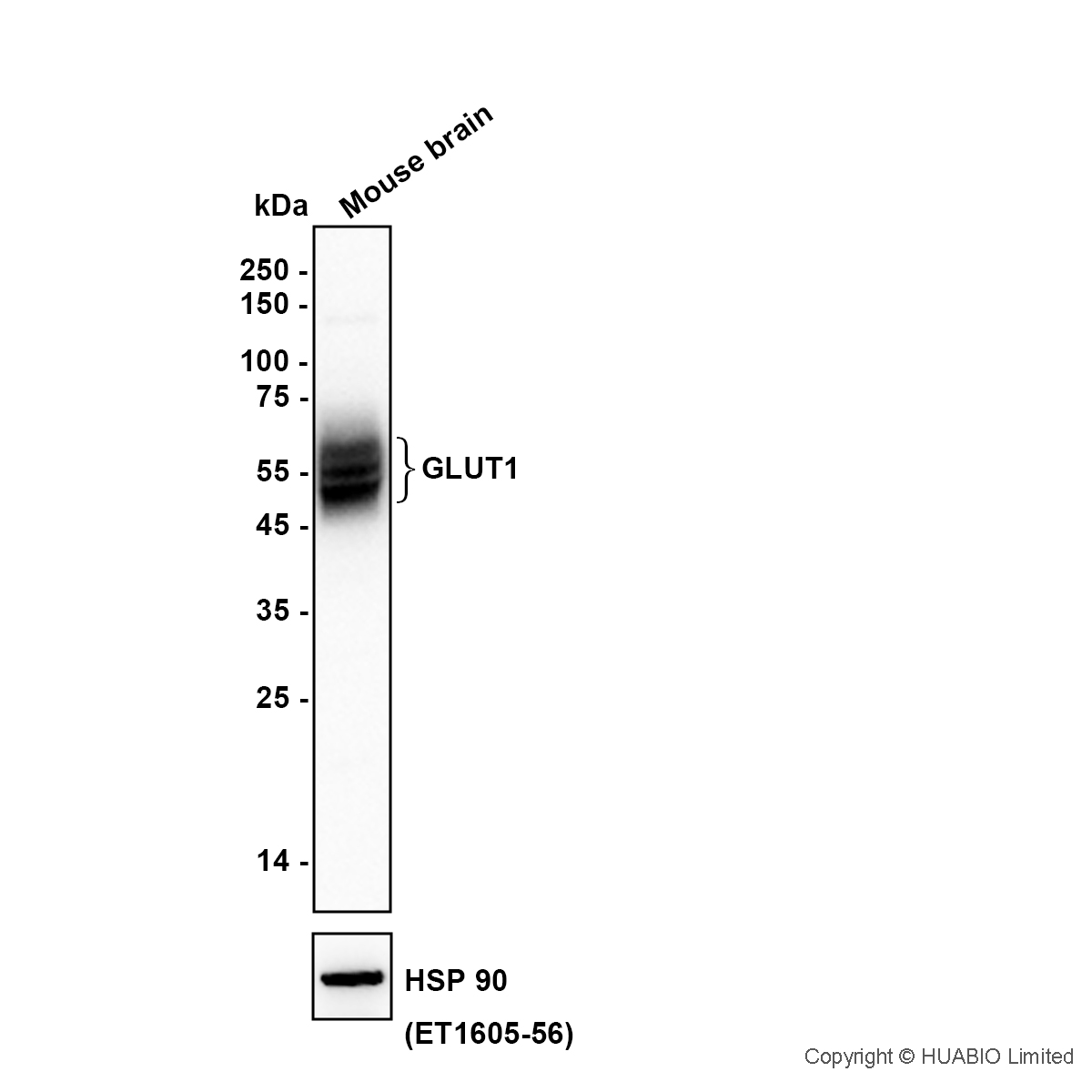 HA610419_2.jpg