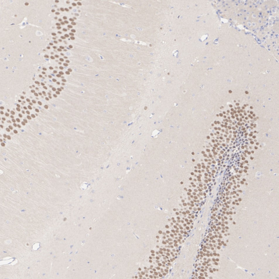 HA610421_3.jpg