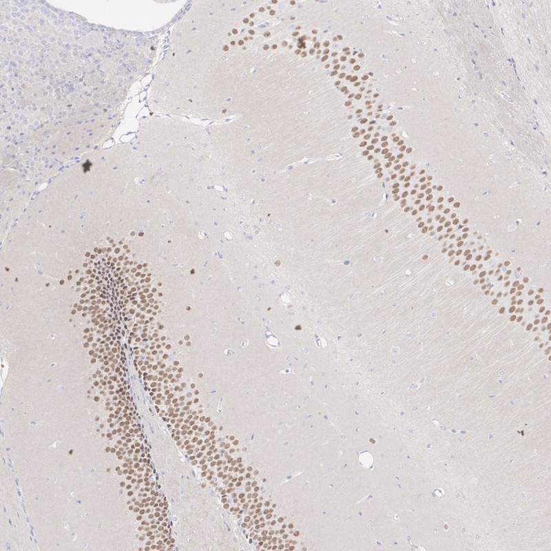 HA610422_3.jpg