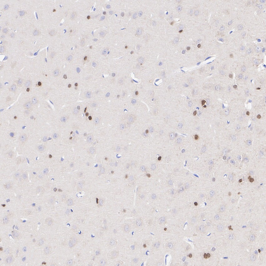 HA610423_4.jpg