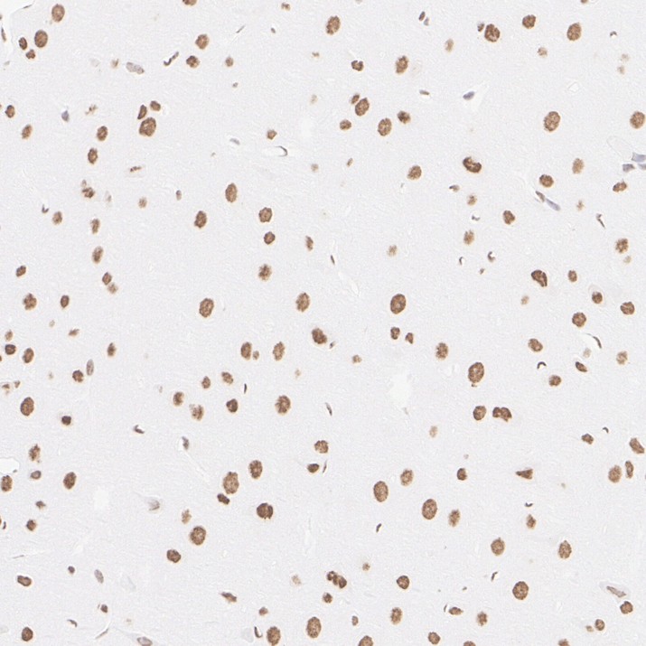 HA610425_4.jpg