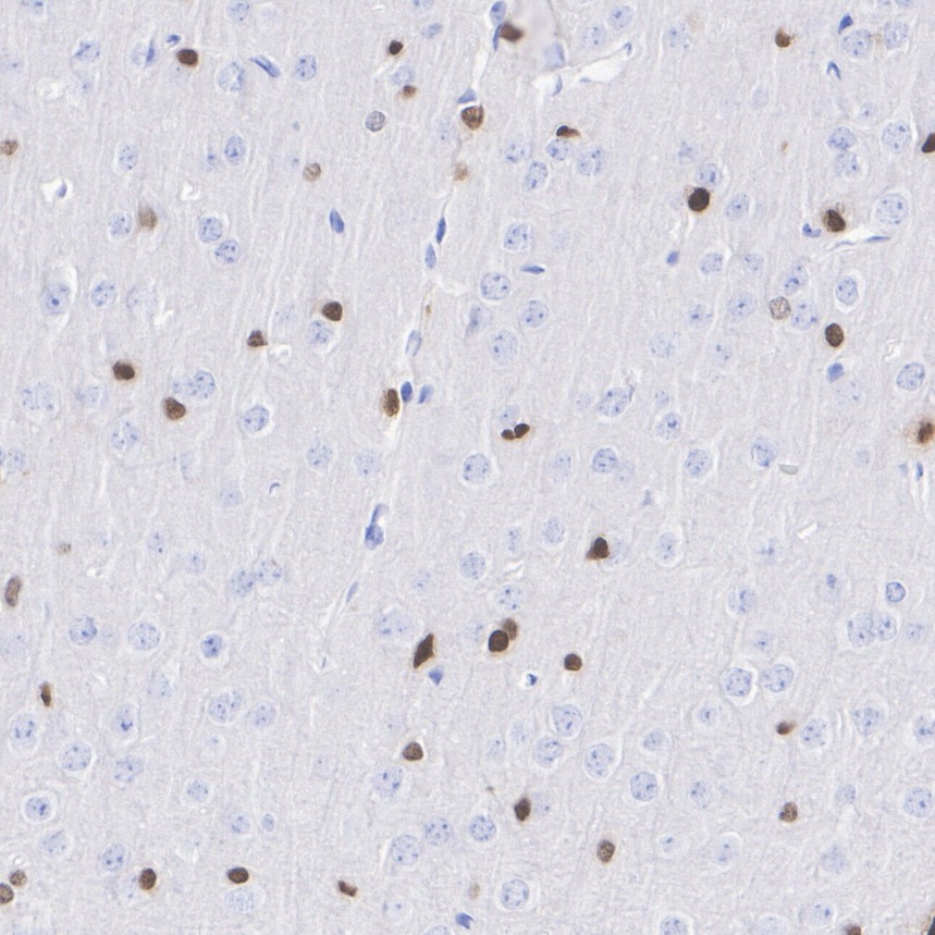 HA610427_4.jpg