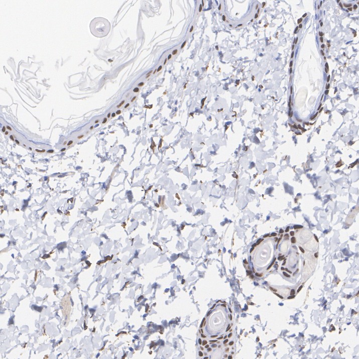 HA610429_5.jpg